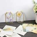 JUXYES 2 Pack Wall Hanging Brass Glass Ornament Frames, Double Glass Brass Tiny Frame for Pressed Flowers, Golden Octagon Metal Floating Frame Ornaments for Picture, Pressed Flower, Poster