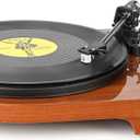 Vinyl Record Player with Bluetooth Input Output,(Upgraded Version,no Sub-Platter),Turntable with Built-in Preamp,USB Recording,Speed Adjustment,Counterweight and Moving Magnet Stylus