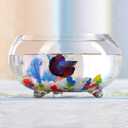 2 Gallon Glass Fish Tank,Sturdy Nicely Betta Fish Bowl,Small Aquariums for Small Ornamental Fish and Reptiles,High Transparency Glass Good View of Your pet,with Three Support Feet