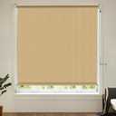 Shade&Beyond Roller Shades for Windows, Cordless Roll Up Blinds 220GSM Window Shades for Home, Office, Bedroom, Door, Sesame, 48" W x 72" H
