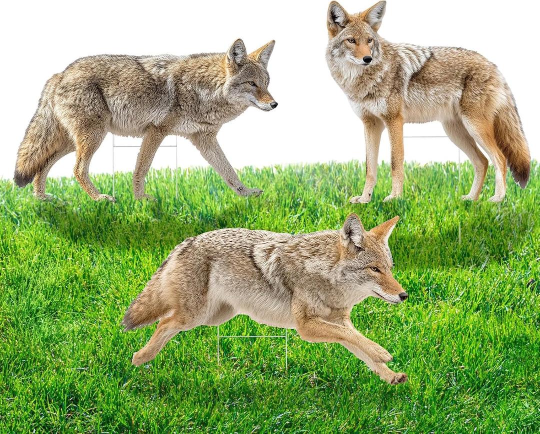 3 Pack 27x 25 Inch Coyote Decoy for Geese, Lifelike Predator with Metal Stakes, Fake Predator Hunting Decoy 2D Silhouette Coyote Devices for Yard Garden