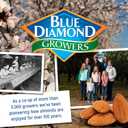 2 x Blue Diamond Almonds, Snack Nut Flavored Honey Butter perfect for on-the-go and snacking, 6 Ounce Can (Pack of 1)