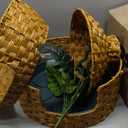 Cat Hidden Litter Box Enclosure Furniture with Cats Bed,Artificial Plants,Handwoven Rattan with Cat Litter Box and Real Stones,in Living Room, Bedroom, CornerNatural