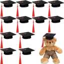 Foilswirl 12 Pcs Mini Graduation Cap with Tassel Mini Plush Mason Jar Small Animal Bachelor Hat Photo Prop Party Supply