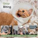 Supet Soft Cat Cone Collar to Stop Licking, Breathable Mesh Cone with Waterproof Liner Recovery Collar, for Kitten, Comfortable Elizabethan Alternative for Spay Neuter Grooming (L)