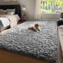 Ophanie Upgrade 4x6 Rugs for Bedroom, Grey, Fluffy Shaggy Soft Area Rug, Gray Non-Slip Indoor Floor Carpet for Living Room, Kids Baby Boys Teen Dorm Home Decor Aesthetic, Nursery, Rug (4' x 6', 1-grey)