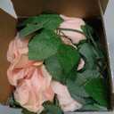 Felice Arts 2 Pack Pink Artificial Flower Garland, Each 6.5FT Fake Rose Vines, Hanging Floral Rose Garland for Wedding Baby Shower Swing Table Home Party Decor