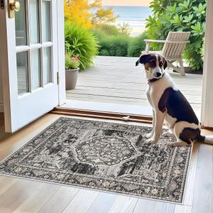 Washable Area Rugs 2x3 Entryway: Soft Ultra Thin Low Pile Mat Machine Washable Indoor Doormat Lightweight Entry Rug Anti Slip Backing Rugs for Living Room Bedroom Kitchen 2'x3' Black