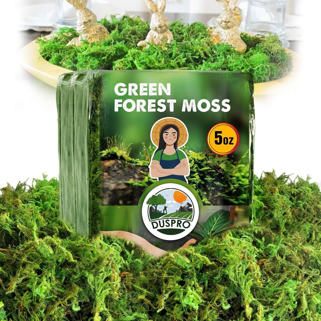 [Upgraded] DUSPRO Green Moss for Crafts, Real Forest Moss Potted Plants, Decorative Mosses for Table Centerpieces Wedding, Easter Day Decoration, Indoor Planters, DIY Project (5 oz)