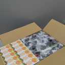 35pcs 10oz Empty Plastic Juice Bottles with Caps Reusable PET Food Grade Drink Bottles with Leak-Proof Tamper Evident Caps Bulk Clear Beverage Containers for Homemade Drinks Smoothie Milk