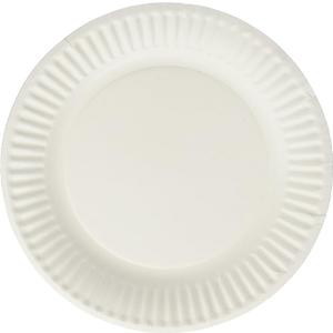 9'' White Paper Plates, 12/100ct