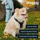 Durable Dog Leash for Walking and Training | Comfortable Grip | for Running and Daily Walks | Dog Leash by Happy Three