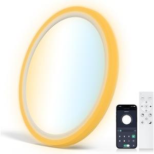 15.8 inch LED Flush Mount Ceiling Light with Night Light,36W 3600LM 3000K-6500K Dimmable Ceiling Light Fixture for Bedroom,Kitchen,Hallway - Wall Switch/Remote/APP Control