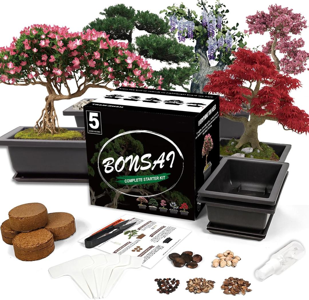 Bonsai Starter Kit, 5 Seeds Growing into Acacia, Wisteria, Sakura, Red Maple and Black Pine, Including Complete Gardening Tools with A Gift Box for Men Women Beginners