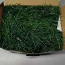 WEMADE 15.4ft Pre-Lit Christmas Garland with Lights  50 LED Lighted Garlands for Christmas Decorations Indoor Outdoor, Battery Operated 8 Modes Memory Timer for Mantel Stair Banister Doorframe Dcor (Warm White)