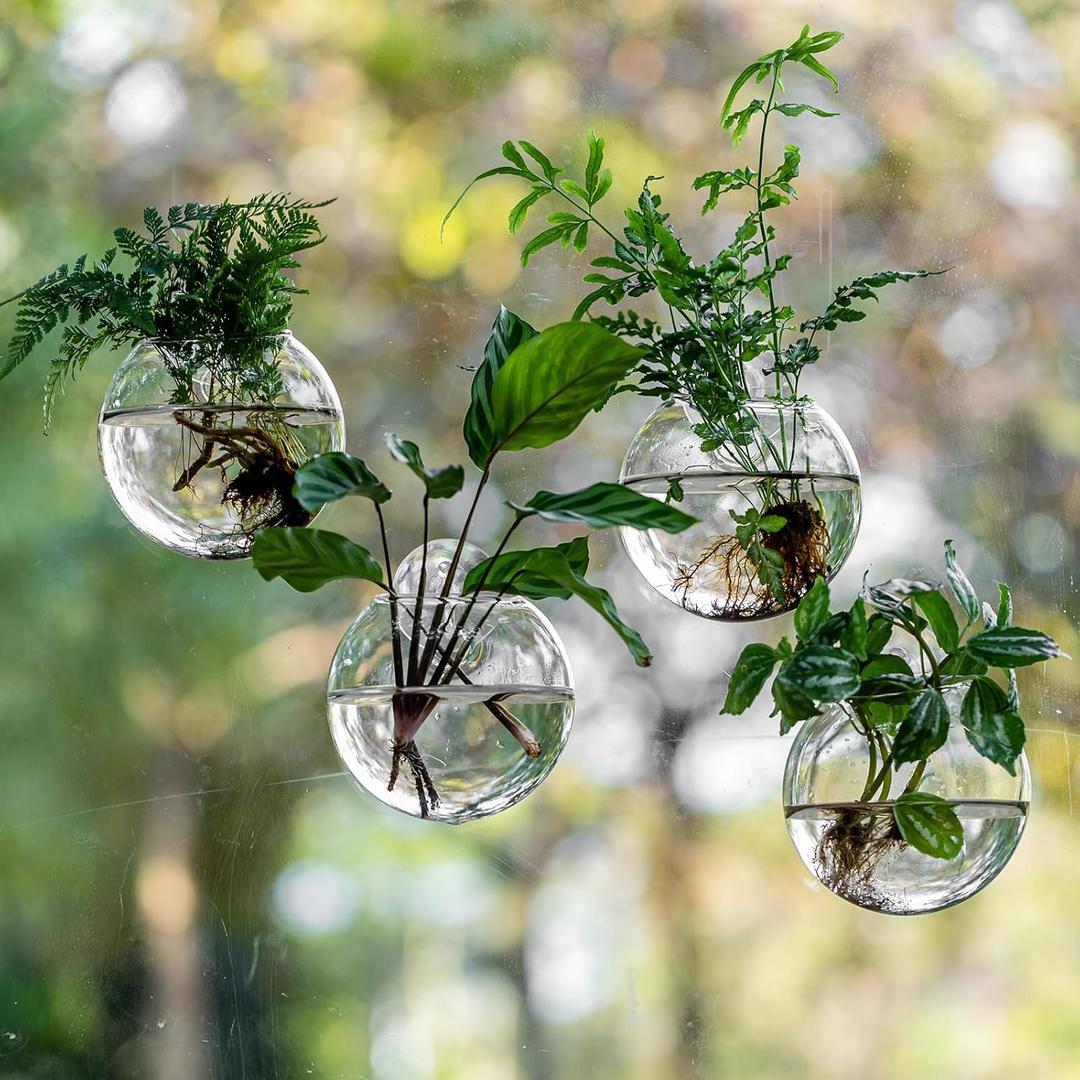 4 x Window Propagation Stations, Oblate Glass Terrariums Planter with Suction Cup Hook, Wall Hanging Planters for Hydroponics Plants, Home, Office, Bathroom, Living Room Decor, Gift for Plant Lovers (4)