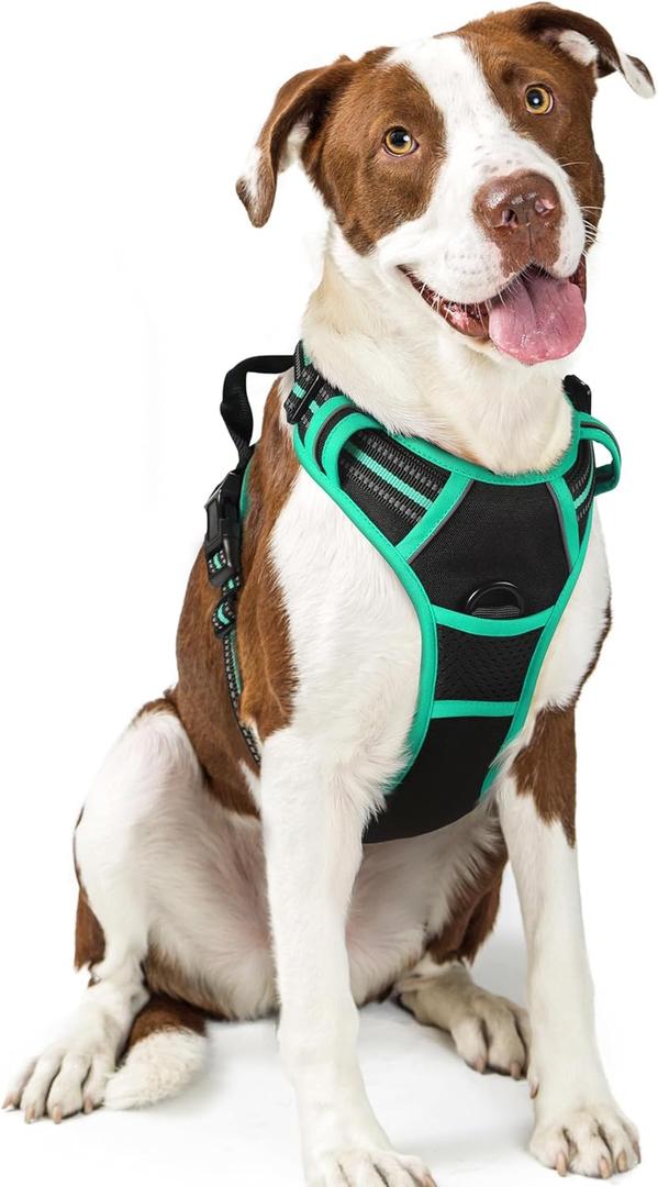 rabbitgoo Dog Harness No Pull with 2 Leash Clips, Adjustable Soft Padded, Reflective Oxford No Choke Pet Vest with Easy Control Handle for Large Dogs, Black & Turquoise, Large