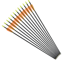 NIKA ARCHERY 24 26 28 30 Fiberglass Arrows for Youth Practise Recurvebow Compound Bow Shooting