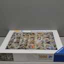 Ravensburger - Sistine Chapel - 5000 Piece Jigsaw Puzzle - Stunning Imagery - Beautiful and Intricate - Unique Ceiling 360 Degree View - Premium Quality - Puzzles for Adults