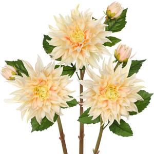 Artificial Dahlia Flowers  Set of 3 | 27.9" Tall Real-Touch Silk Dahlia Stems with Large 6.1" Blooms | Lifelike Ivory Faux Flowers for Home Decor, Wedding, Centerpieces & Floral Arrangements