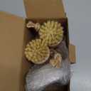 Bamboo Dish Scrub Brushes,Kitchen Wooden Cleaning Scrubbers Set for Washing Cast Iron Pan/Pot, Natural Sisal Bristles, Set of 3 (Regular size)