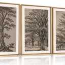 HOURIA Vintage Tree Sketch Framed Canvas Wall Art Set,Natural Brown and Gray Woodland Wall Decor,Mid Century Nature Forest Artwork,Textured Botanical Art Print for Living Room,Bedroom,Office, 16"x24"x3