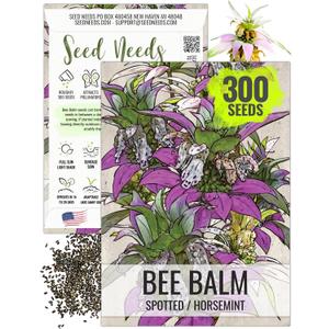 10 x Seed Needs Spotted Bee Balm Seeds to Plant Horsemint Flowers/Herbs 1 Pack