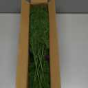 Artificial Christmas Norfolk Pine Stems Branches for Vases,12 Bundles Fake Pine Stems with 2 PCS Small Pinecones Branches Faux Evergreen Real Touch Greenery for Xmas Holiday Winter Table Indoor Decor