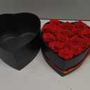 Preserved Roses Heart Shape Box Valentines Day Gifts for Her Mothers Day Forever Flowers (Red, 16 Roses)