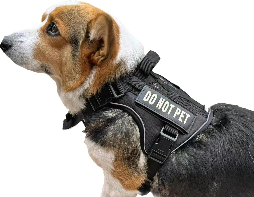 Tactical Dog Harness for Small and Medium Breeds, Air Dog Vest No Pull with Reflective Do Not Pet Patches, Breathable Dog Molle Vests for Training Walking Hunting Black