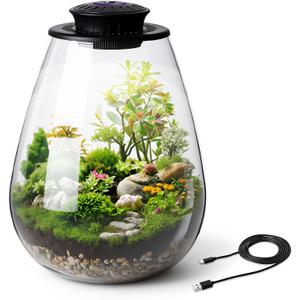 Glass Terrarium with Grow Light, 6.7"x8.7" for Succulent Moss