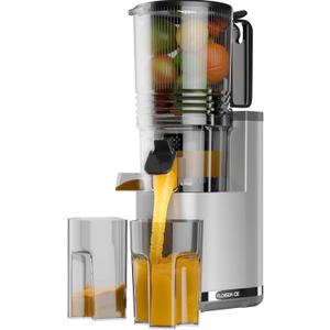 Cold Press Juicer, 6.5" Extra Large Feed Chute Juicer Machines, Hands-Free 350W Slow Masticating Juicer Machines with High Juice Yield for Whole Vegetables & Fruits, BPA Free, Silver