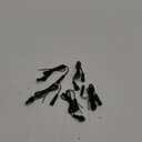 5 Pcs Deck Light Extension Cable 3.3ft 2 Pin IP67 Waterproof Garden Extension Cable Male Female Connector for Outdoor