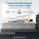 Avenco Queen Mattress 12 Inch in a Box, Queen Size Medium Plush Mattresses with Pocket Spring Smarts Coil Hybrid Colchones for Pressure Relief, CertiPUR-US Certified