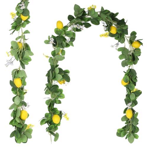 2 Pcs Artificial Lemon Garlands, 6.6 ft Faux Greenery Vines, Fake Fruit Vines with Lemons, Flowers, and Leaves, Spring Fruit Garlands for Indoor Outdoor Wedding Home Door Wall Decoration