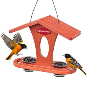 Kingsyard Bird Feeder for Outdoor Hanging, Recycled Plastic Oriole Jelly Feeder, Two Dishes w/ 5 oz, Durable & Weatherproof, for Bird Lovers, Orange