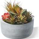 yel canby Artificial Succulent Plants Potted Indoor with Ceramic Pot - Fake Low Maintenance Plants for Bedroom, Bathroom, Coffee Table Decor - Home Office Desk & Room Aesthetics