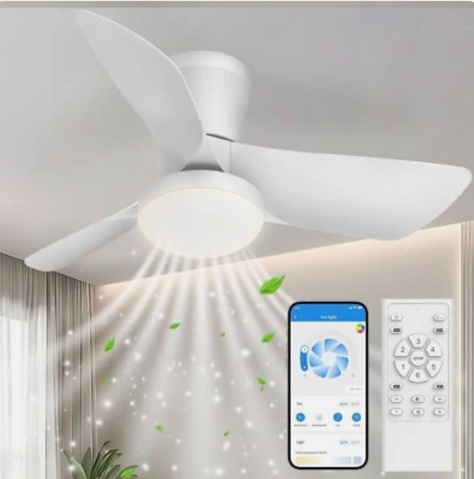 Ceiling Fans Lights with APP & Remote Control: 30 Inch Low Profile Ceiling Fans with Lights Reversible Small Flush Mount Ceiling Fan 3 Colors Quiet 6 Speeds Ceiling Fan for Bedroom Livingroom Kitchen