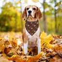 3 x Thanksgiving Dog Bandanas Puppy Scarf - Gobble Turkey Dog Outfits - 2 Pcs Adjustable Triangle Double-Layer Reversible Fall Pet Bandanas for Small Medium Large Dogs