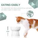 Frewinky Cat Bowls,Ceramic Cat Bowls Anti Vomiting,Raised Food and Water Bowl Set for Cats and Small Dogs, 13.5 Oz Pure White (Pack of 2)