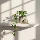 WELLAND Simons Floating Wall Shelf Ledge Shelves, 18-Inch, White Compact display space for books, plants, photos and decor in living rooms, kitchens, offices and entryways