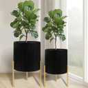 ARNIS Modern Plant Pots, Set of 2 Round Large Planters with Stand, Large Size Metal Pots with Drainage Holes for Living Room, Office, Garden or Balcony, 10.5 &12.25 Inch, Black & Gold