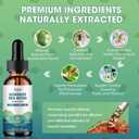 Catfit Soursop Graviola Liquid Drop  2 Pack Soursop Drops with Sea Moss & Turmeric, Cellular Support & Immunity Boost Liquid Supplement, 2 Fl Oz