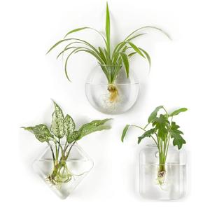 Mkono Wall Planter Propagation Stations Hanging Glass Terrariums Vase Container for Propagating Hydroponic Plants Flowers Home Office Living Room Bathroom Garden Decor, 3 Pack