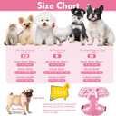 EXPAWLORER Cute Dog Harness and Leash Set - Pink Girl Dog Harness Checkered Step-in Design, Easy Adjustable No-Choke Lightweight Breathable Vest for Puppy Small Dogs Cats Outdoor Walking, Small