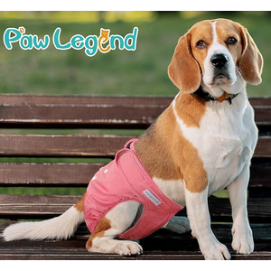 Paw Legend Washable Reusable Female Dog Period Diapers for Heat Doggie Puppy Diapers for Female Dogs (2 Pack,X-Small) (X-Small (8"-11.5" Waist), Cheerful (Black Lining))