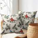 Winter Pillow Covers 18x18 Inch Red and Blue Birds Decorative Throw Pillows Set of 2 Christmas Pinecone Pillow Cases for Sofa Couch Home Xmas Decor