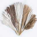 96PCS Natural Dried Pampas Grass Boho Home Decor Bouquet Phragmites Dried Flowers Bouquet for Wedding Floral Arrangements Living Room Decorations (96PCS)