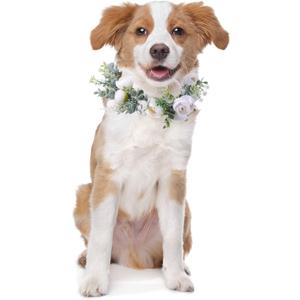 Honoson Dog Wedding Flower Collar Dog Wedding Outfit Floral Collars Attire Flowers Wreath Pet Photo Prop Wedding Accessories for Puppy Cats Female Male(Small)