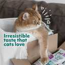 Optimeal Grain-Free Wet Cat Food Pouches  Chicken & Turkey in Savory Gravy, High Protein & Moisture-Rich Tender Morsels, Indoor Adult Cat Food Wet with Natural European Ingredients, 3 oz (Pack of 12)